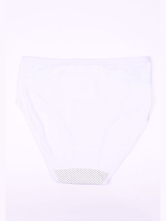 Plus size women's high-waisted briefs white White