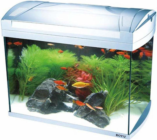 Boyu Fisch-Aquarium mit Kapazität von 20Es mit Umwälzpumpe und 54x32x35cm Weiß