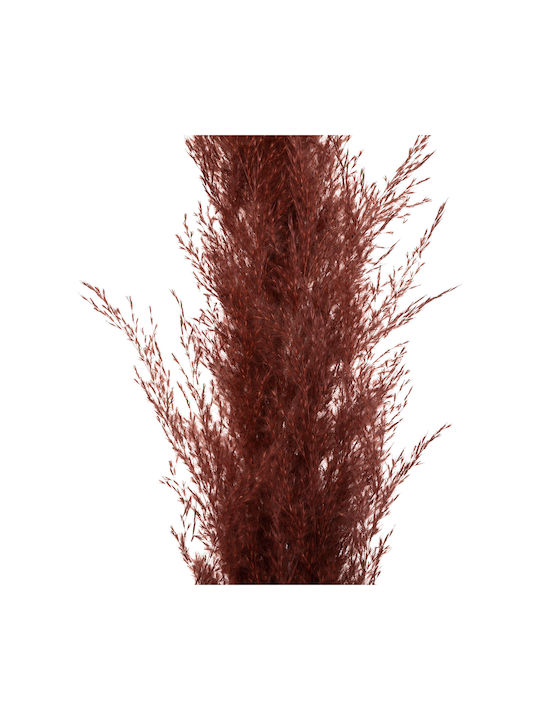 Spitishop Ramură Decorativă Artificială Pampas Grass Red 110cm în cutie 3buc