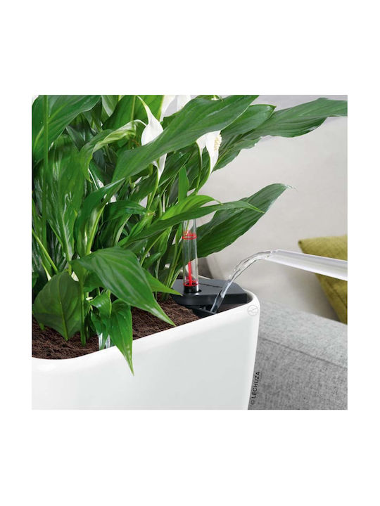 Lechuza Quadro LS 43 Flower Pot Self-Watering 43x40cm in Black Color 16189