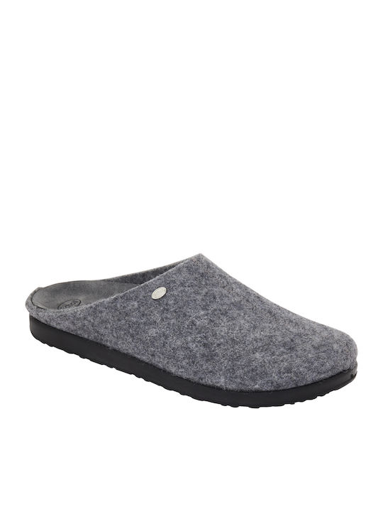 Scholl