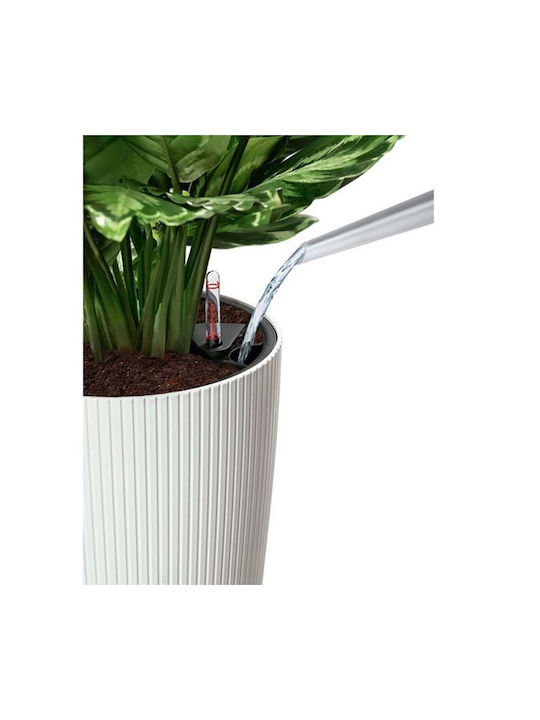 Lechuza Cilindro Self-watering Pot Plastic 32x32x56cm.