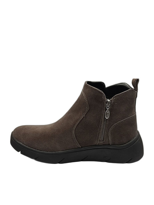 Scholl