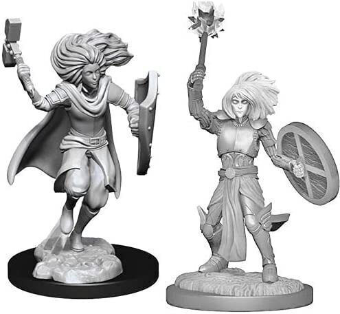 WizKids Dungeons & Dragons Nolzur's Marvelous: Changeling Cleric Figurine nepictate 90237