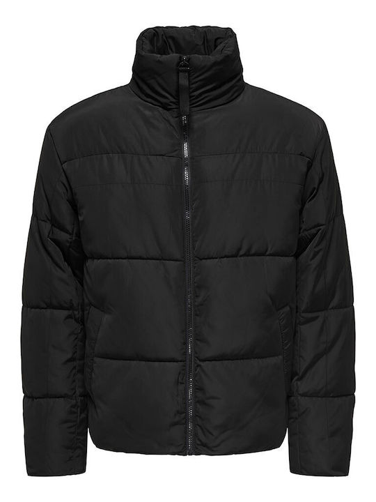Winter Jacket Puffer Black