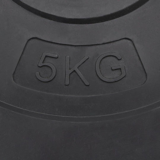 vidaXL Set of Plates Rubber 6pcs Total Weight 30kg Φ25mm