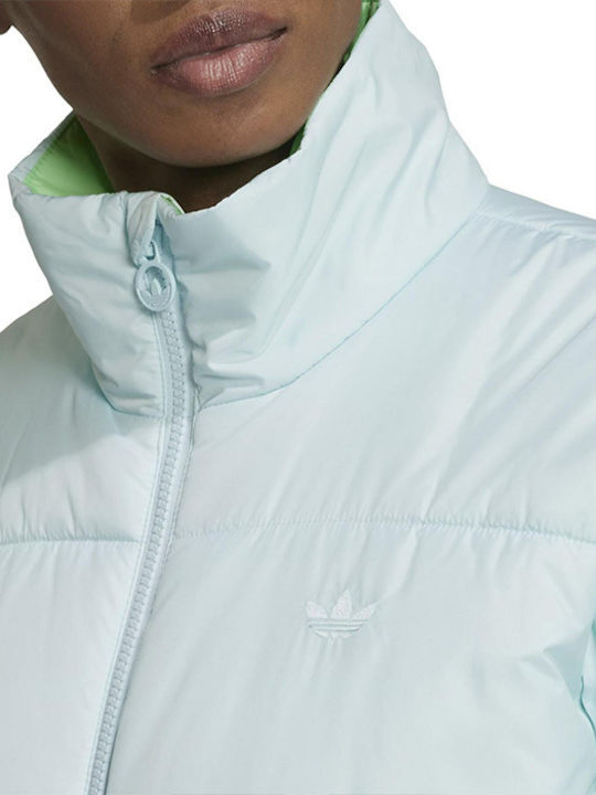 Kurz Damen Puffer Jacke für Winter Hellblau