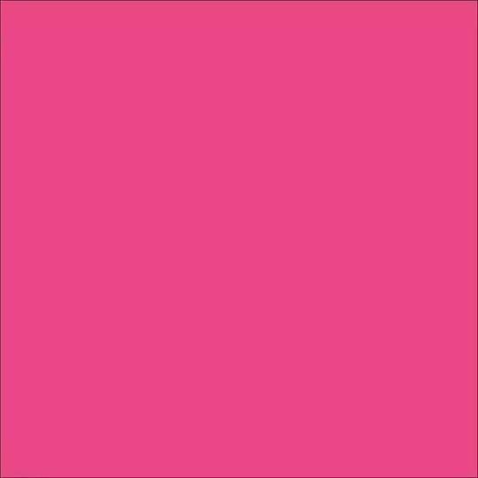 Royal Talens Art Creation Indoor & Outdoor Flüssige Handwerksfarbe Fuchsie Für Holz 3503 Weiches Magenta 50ml