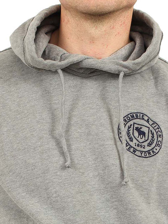 Abercrombie & Fitch Sweatshirt with Hood Gray