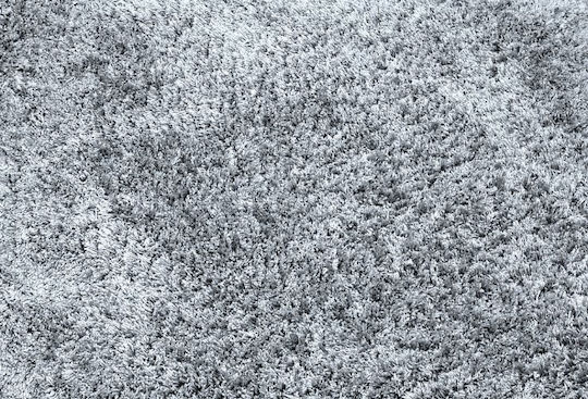 Eurofil Cut-to-Measure Carpet Nobel Light Grey