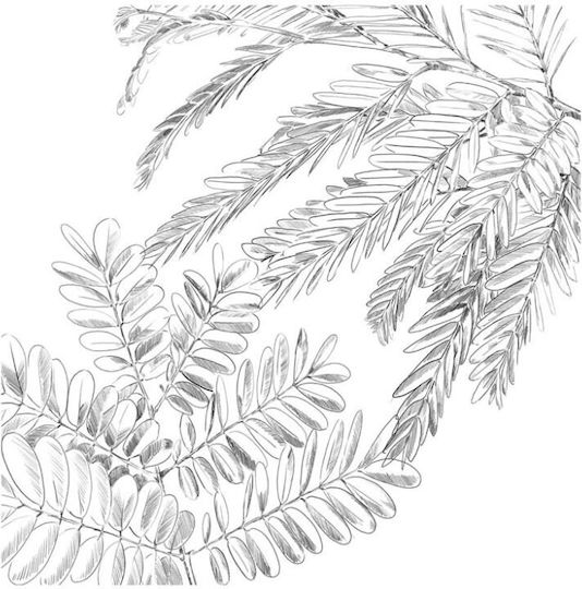Atmosphera Cotton Duvet Cover Set 220x240cm Super King with 2 Pillowcases Monstera White