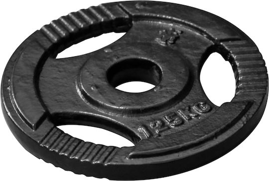 Ruilin Δίσκος Μεταλλικός 1 x 1.25kg Φ28mm με Λαβές