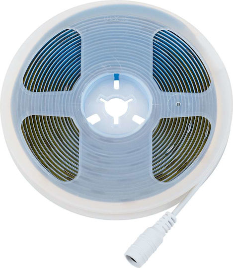 GloboStar Ταινία LED 12V Φυσικό Λευκό Φως 5m Τύπου COB με Τροφοδοτικό