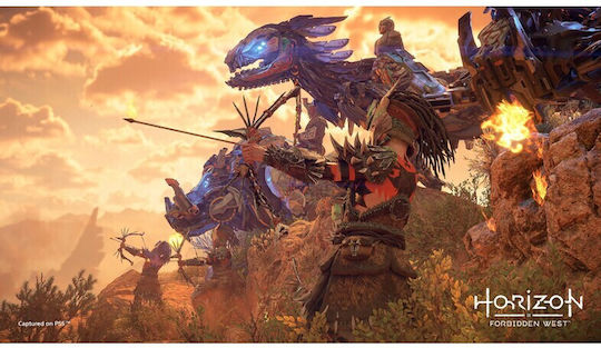Horizon Forbidden West Special Edition PS4 Game