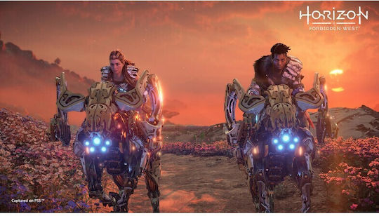 Horizon Forbidden West Special Edition PS4 Game