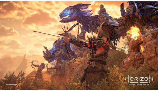 Horizon Forbidden West Collector's Edition PS5 Game