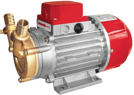 Rover Pompe Marina Transferpumpe mit Leistung 1hp 24V