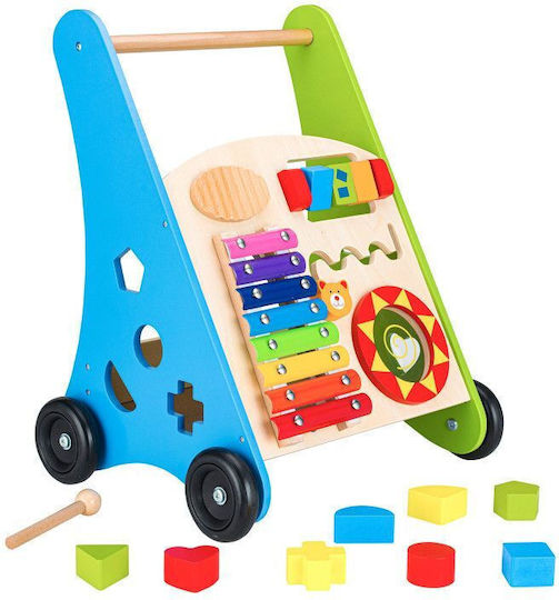 Ecotoys για 24+ μηνών Πολύχρωμη