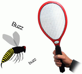 Electronic Bugg Zapper