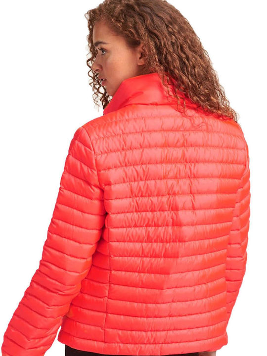 Superdry Kurz Damen Puffer Jacke für Winter Orange