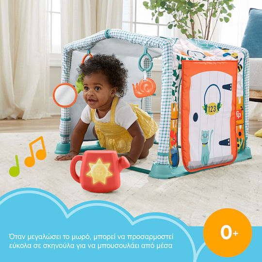 Fisher Price Activity Gym Playhouse for Newborns