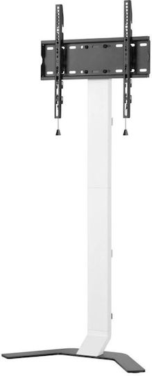 Techly ICA-TR47 Βάση Τηλεόρασης Δαπέδου έως 70" και 40kg