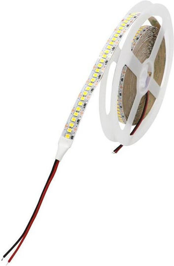 Ταινία LED 12V Ψυχρό Λευκό Φως 5m