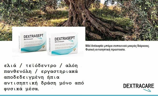 Dextrasept Mild Antiseptic Seifenriegel mit Olivenöl 100gr