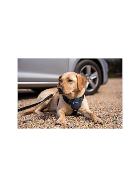 Company of Animals Σαμαράκι Σκύλου Γιλέκο CarSafe Μαύρο X-Small S6103613
