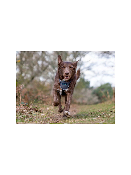 Company of Animals Dog Harness CarSafe Black Large
