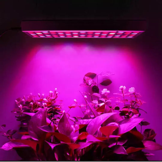 Pendant Grow Light with LED and Power 45W