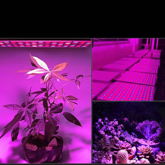 Окачен Осветление за растеж с 450 LED и Мощност 90W 5см.