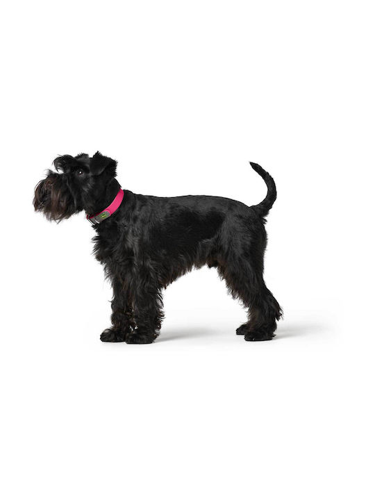 Hunter Convenience Dog Collar Medium 20mm x 30 - 40cm (Various Colors)