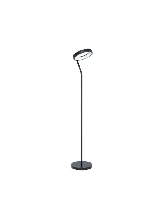 Eglo Marghera LED Φωτιστικό Δαπέδου Υ169εκ. Μαύρο Eglo Marghera LED Φωτιστικό Δαπέδου Υ169εκ. Μαύρο