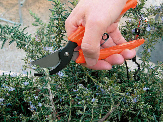 Stocker Ψαλίδι Κλαδέματος Μήκους 17cm