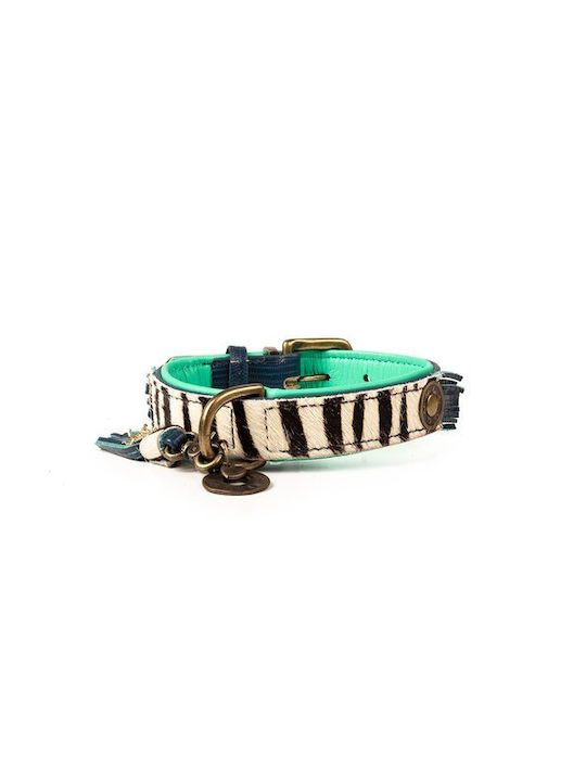 DWAM Zara Collar Hundehalsband Leder XSklein 20mm x 24 - 30cm