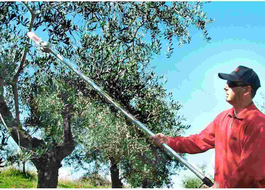 Lisam Sky Air Chainsaw with Stick 1.5m & Lama 8" 9026/1