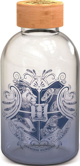 Abysse TABSTR022 Kinder Trinkflasche Harry Potter Glas 620ml