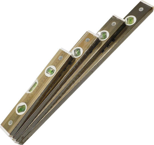 Inter 772709 Nivel de spirit Din aluminiu Magnetic 50buc cu 3 Ochiuri