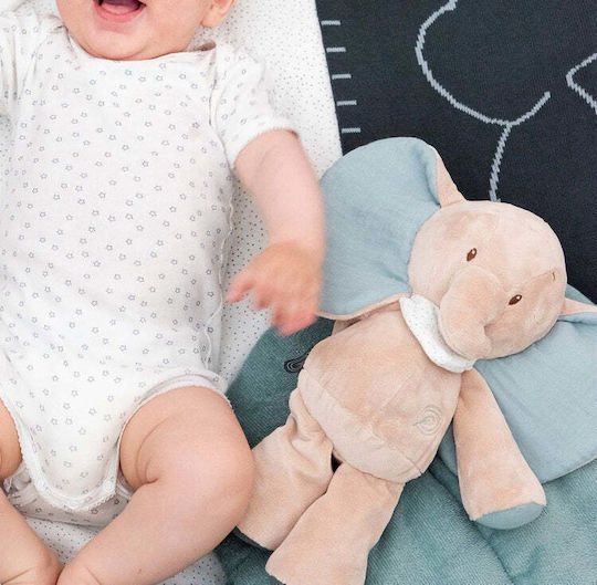 Nattou Plush Elephant Elephant Axel