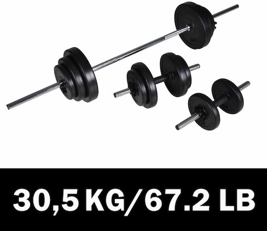 vidaXL Αλτήρες Σετ με Μπάρα Συνολικού Βάρους 30.5kg