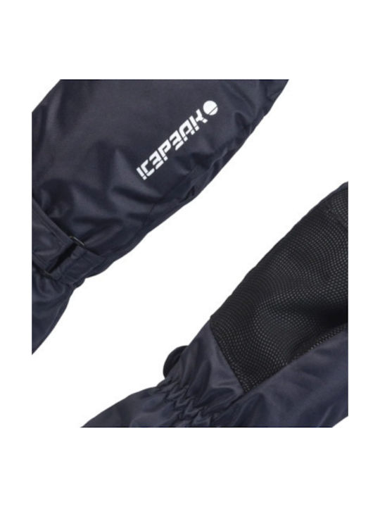 Icepeak Haysburg Mittens Γυναικεία Γάντια Σκι & Snowboard Μπλε