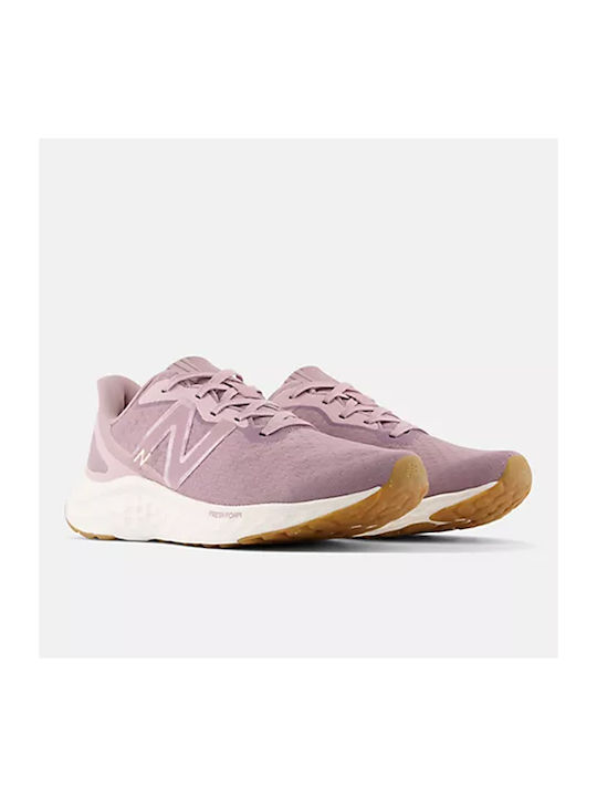 Fresh Foam Arishi v4 Γυναικεία Αθλητικά Παπούτσια Running Lilac Chalk / Violet Shadow / Light Gold Metallic