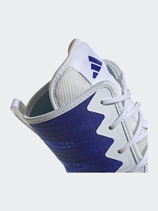 adidas Box Hog 4 Boxing Shoes Blue