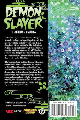 Demon Slayer, Vol. 13