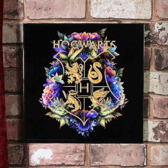 Nemesis Now Harry Potter Hogwarts Fine Oddities Рамка Стъклен 32x32см