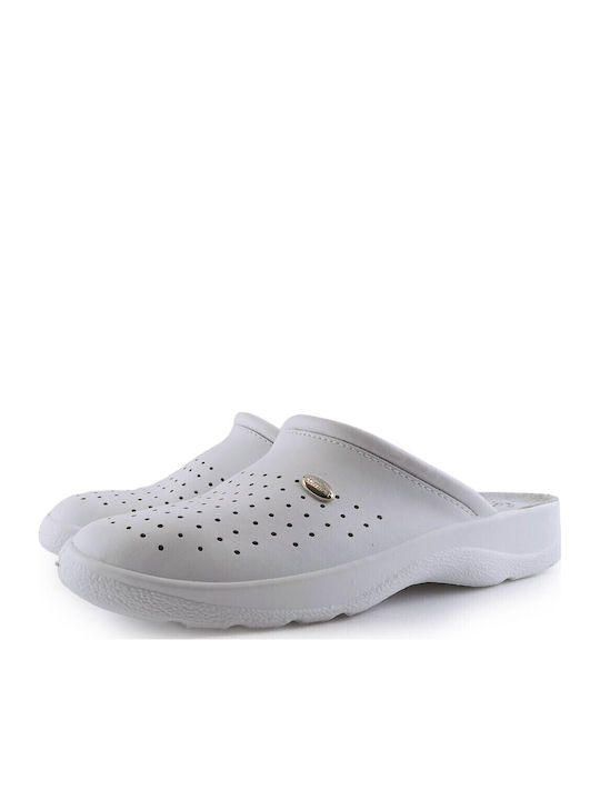 Adam's Shoes