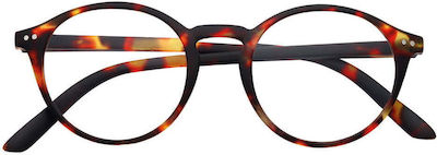 Gian Marco Venturi Palermo Reading Glasses +2.00 Tartaruga Palermo