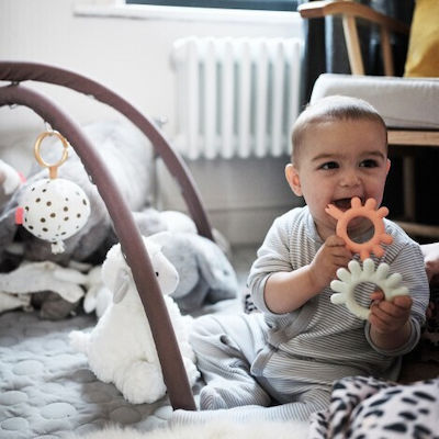 Borrn Teething Ring Elephant BPA Free of Silicone for 3 m+ 1pcs