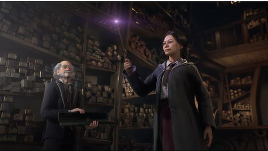 Hogwarts Legacy Collector's Edition Xbox Series X Game